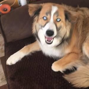 Meet your Posher, Zach